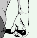 grip2.gif